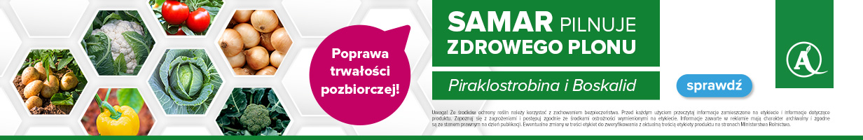 Grafika reklamowa nr 330