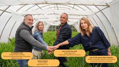 Pionierskia uprawa imbiru na Uniwersytecie Przyrodniczym w Poznaniu